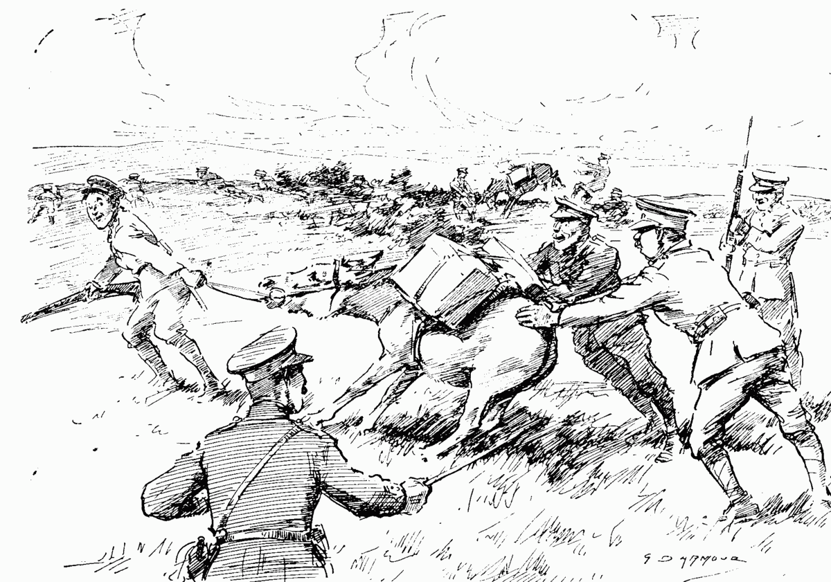 purchase of donkeys