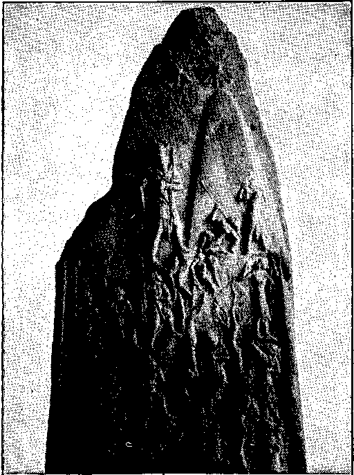 Stele of Victory of Naram-sin, King of Agade.