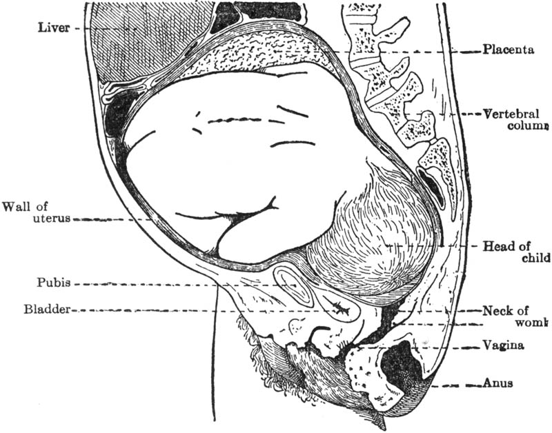 Figure 22