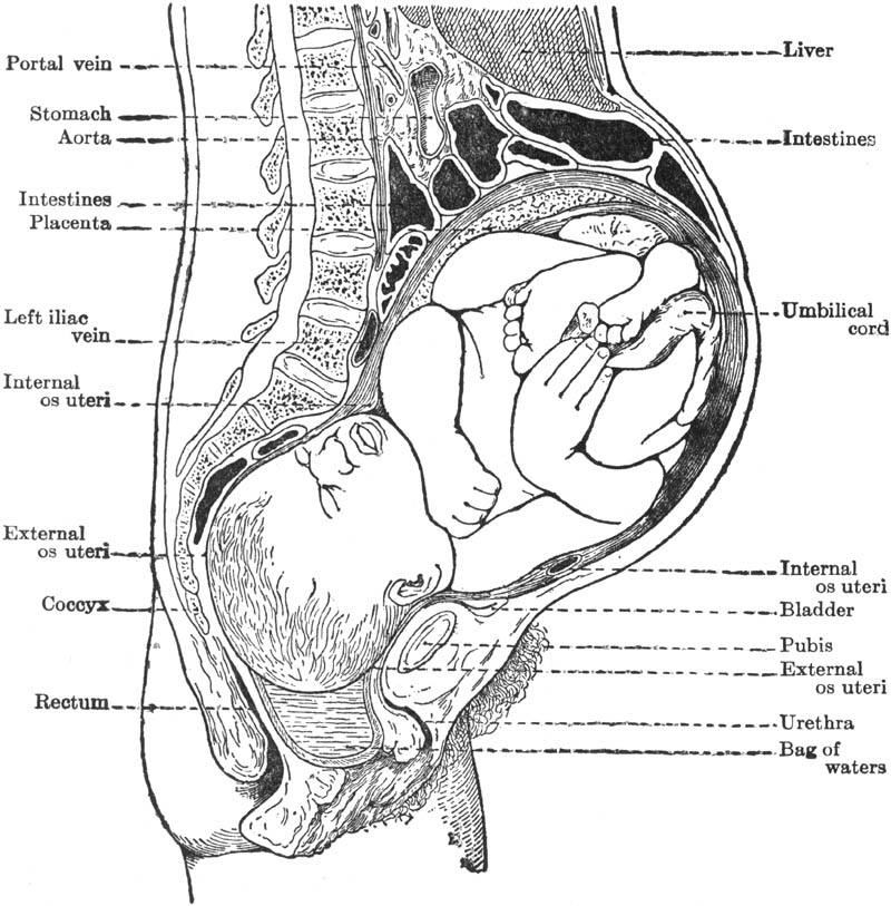 Figure 23