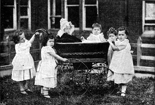 THE "CASTLE" PERAMBULATOR. From a Photo. by Elliott &
Fry.