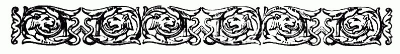 imagen (barra decorativa) no est disponible