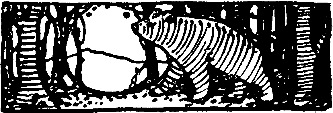 image not available