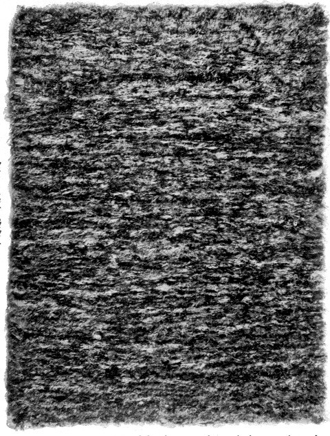 A mottled rug of figured silkoline, in which the colors
brown, blue, and old gold predominate