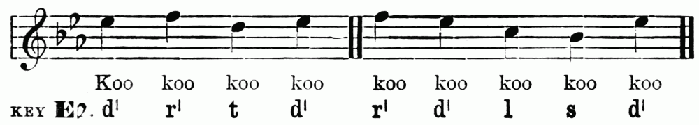 Koo koo koo koo koo koo koo koo koo