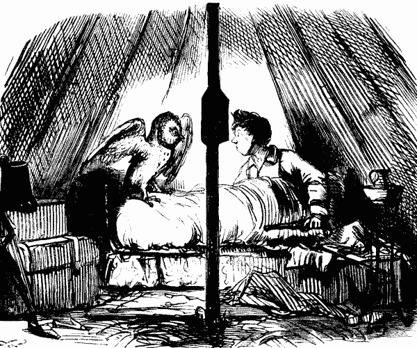 THE CAMP.—A NIGHT SURPRISE