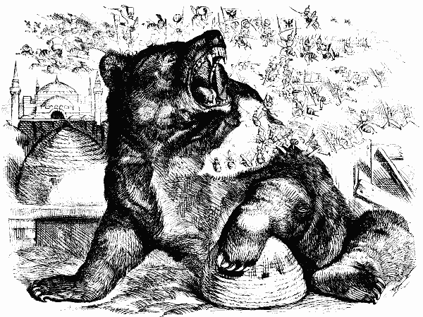 THE BEAR AND THE BEES