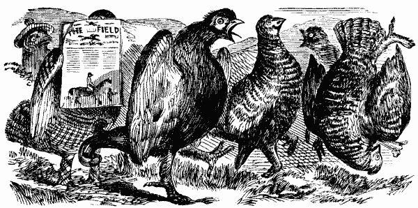 DELIGHT OF THE GROUSE AT THE
PROSPECT OF A LATE SESSION