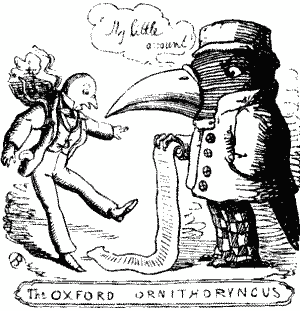 The OXFORD ORNITHORYNCUS