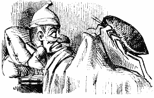 Mr Punch with a gigantic flea