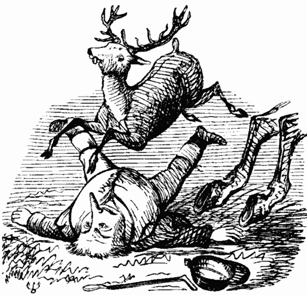 Man thrown from horse