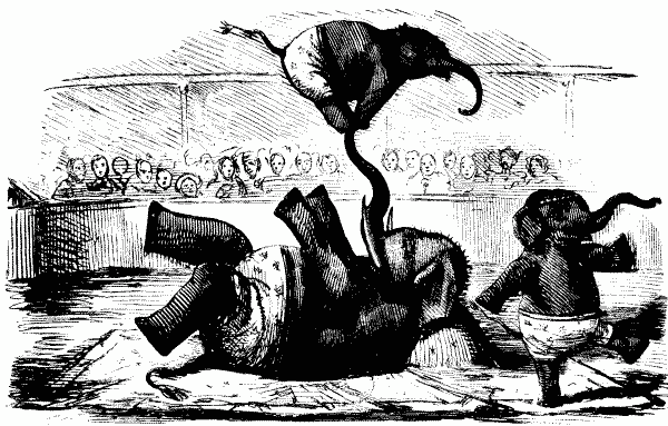 A HINT TO THE ELEPHANTINE PROFESSOR
AT ASTLEY'S