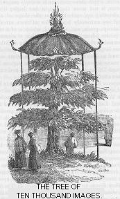 The Tree of Ten Thousand Images