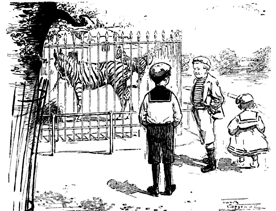 FIRST VISIT TO THE ZOO