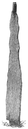 EGIL WOOLSARK'S
MONUMENT OR BAUTASTONE AT FREINESS.