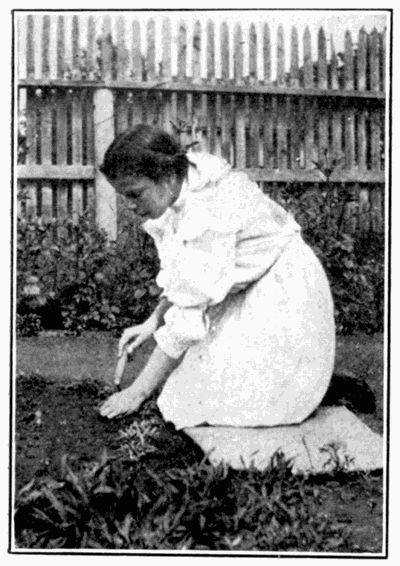 THE RIGHT WAY TO TAKE A WEED OUT
OF THE GROUND