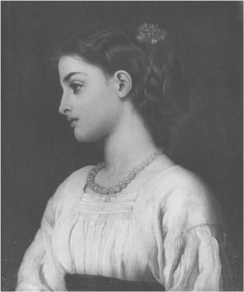 Neruccia