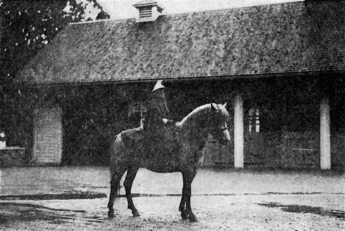 LONGMYND ECLIPSE ON A RAINY DAY
  Ridden by a young lady of eight