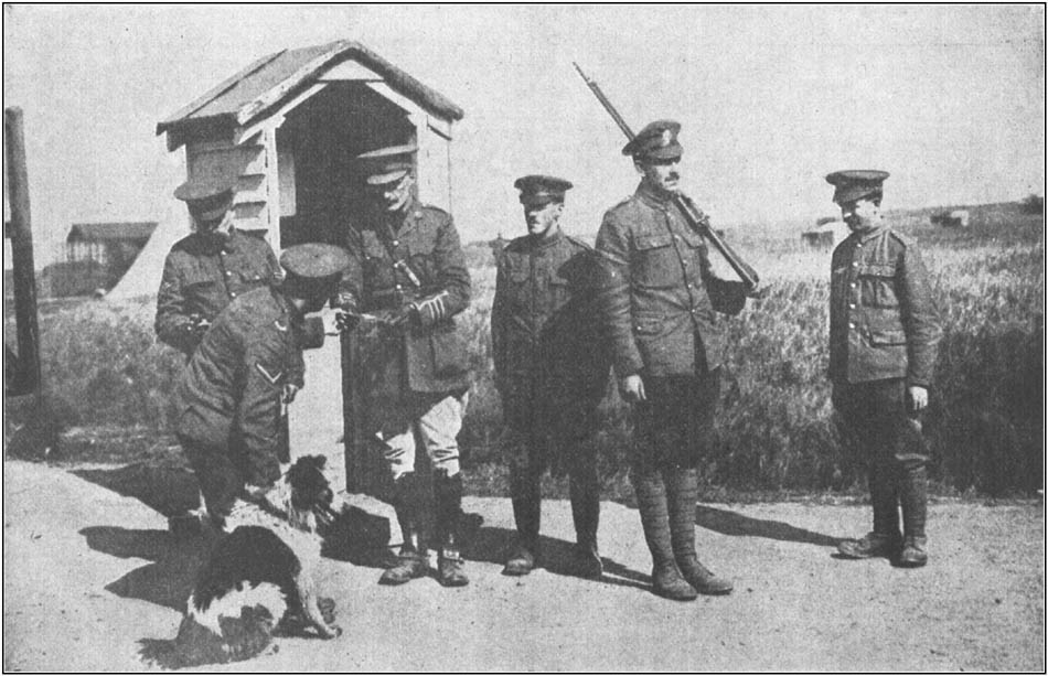 A Dog Delivering a Dispatch at Headquarters