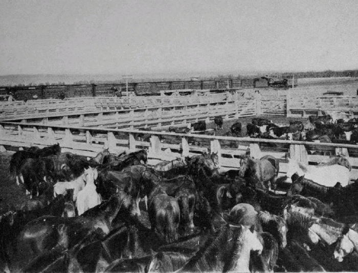 Stockyards