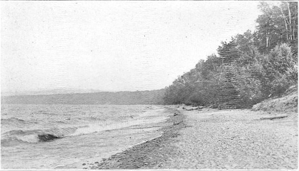Fig. 1. Beach of Lake Superior just east of Little
Girl's Point. A dirt bluff at the right of the picture. August 10,
1920.