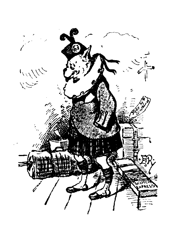 Dog in highland dress