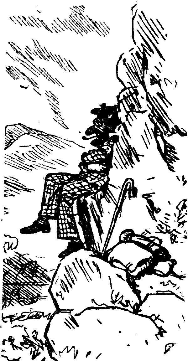 Mr. P. in the moumtains