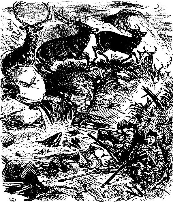 deer are driven for Mr. Briggs