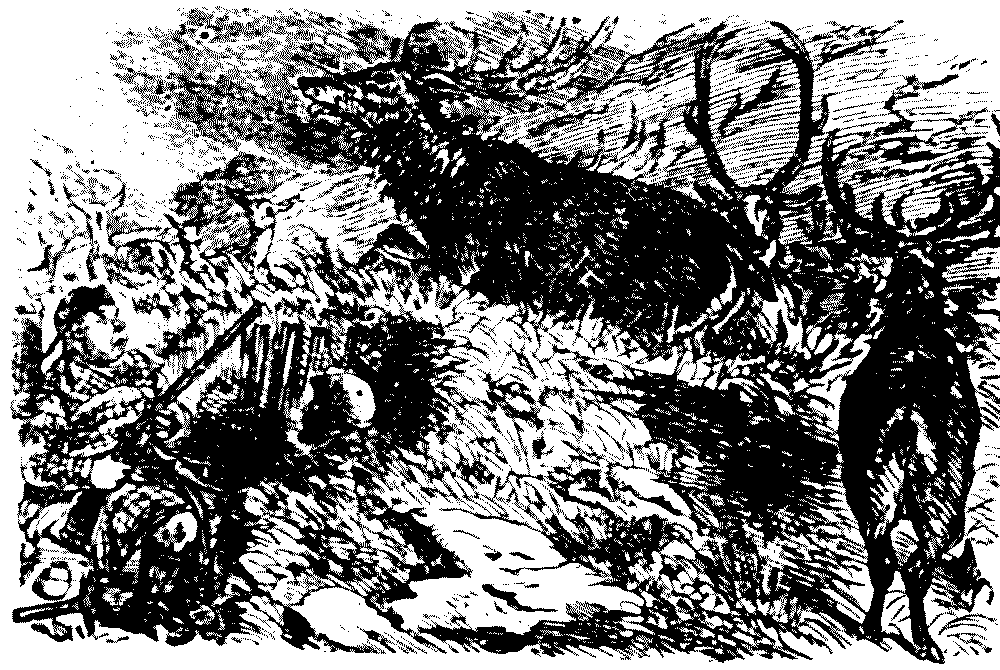 Mr. Briggs omits to fire his rifle