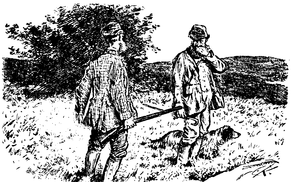 ON THE MOORS