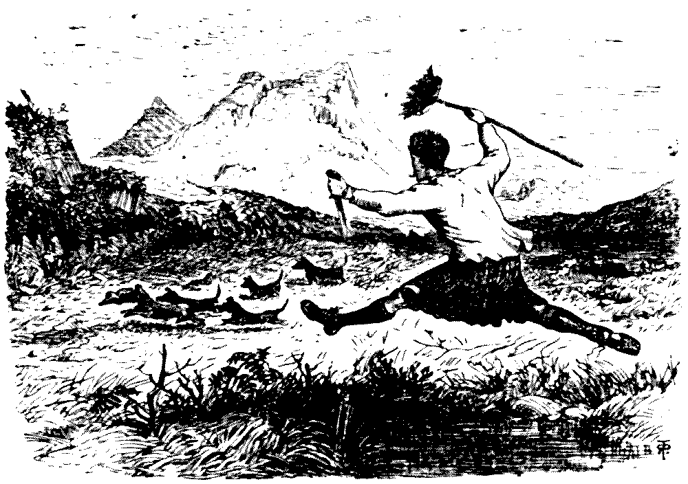 The pursuit