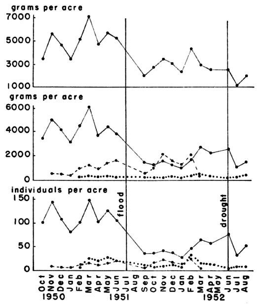 Variations in density and mass of three common
rodents on House Field