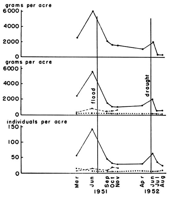  Variations in density and biomass of three common
rodents on House Field