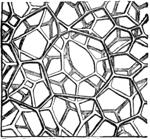Fig. 26. Thread-lace Scori from Kilauea