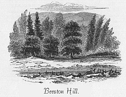 Beeston Hill