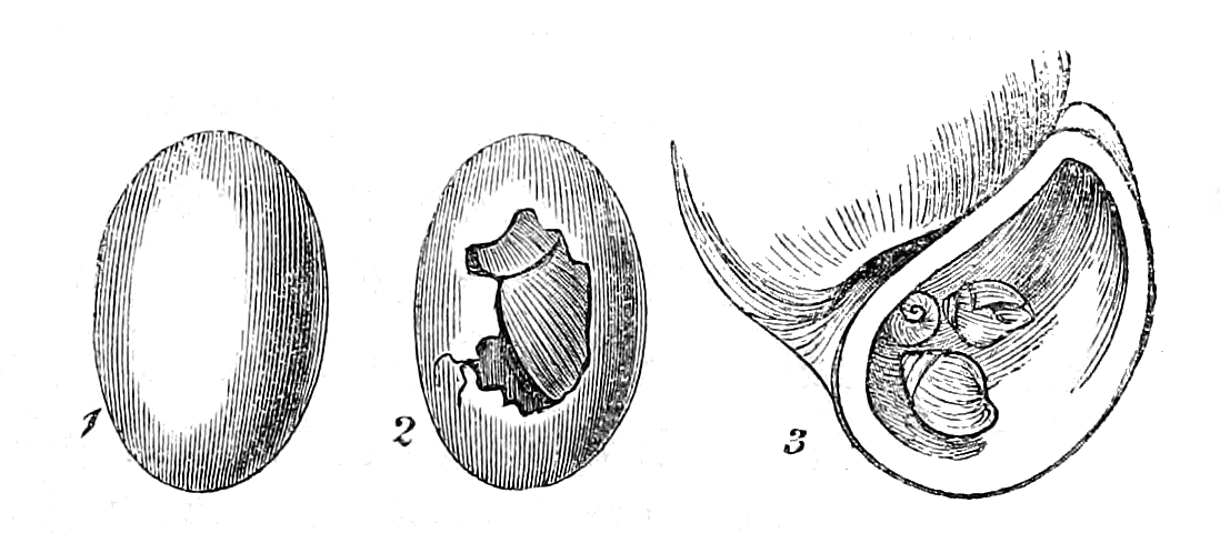Figs. 1-3.