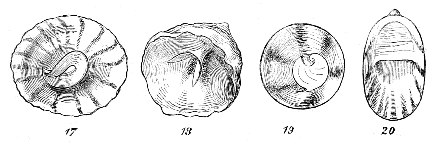 Figs. 17-20.