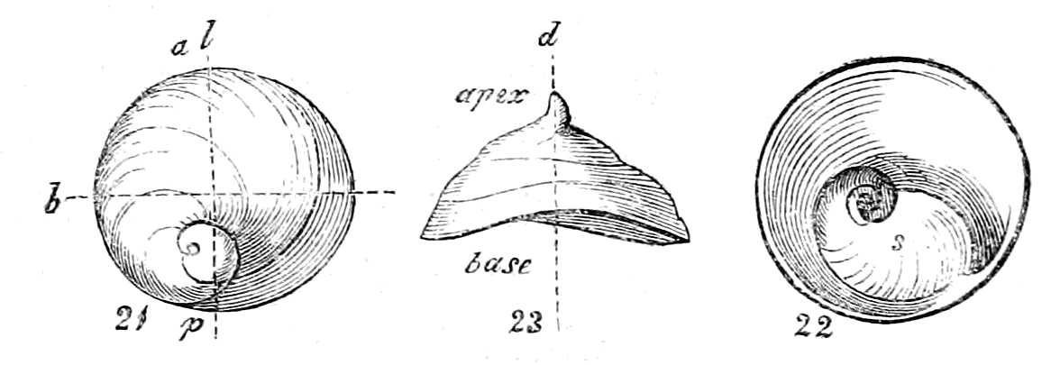 Figs. 21-23.