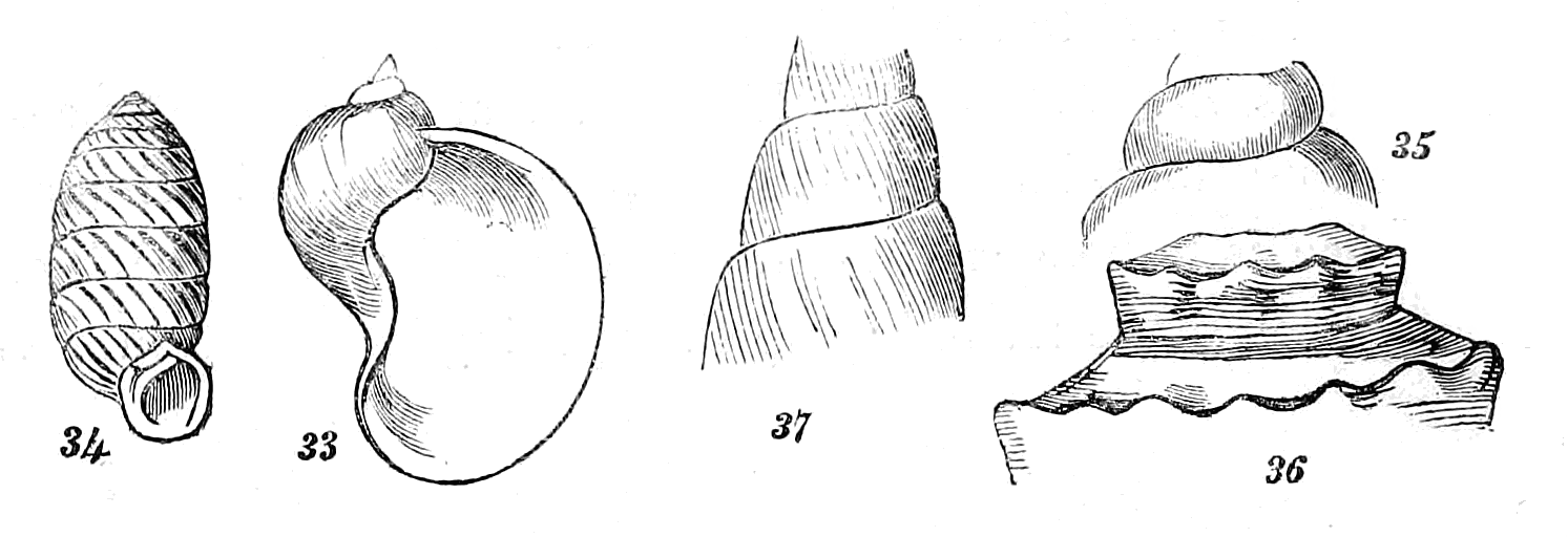 Figs. 33-37.