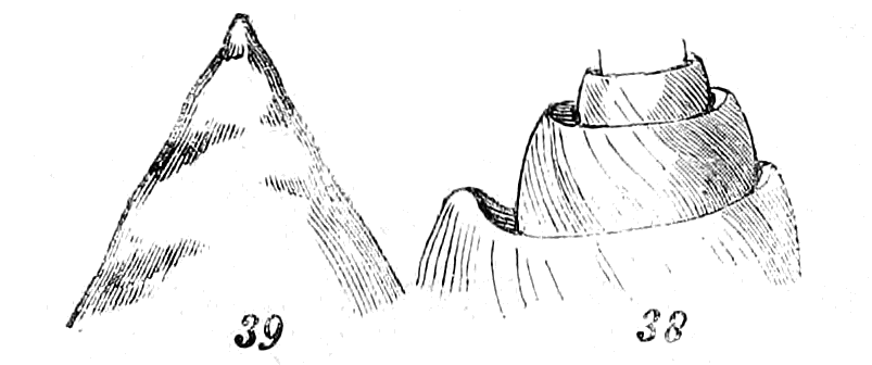 Figs. 38-39.