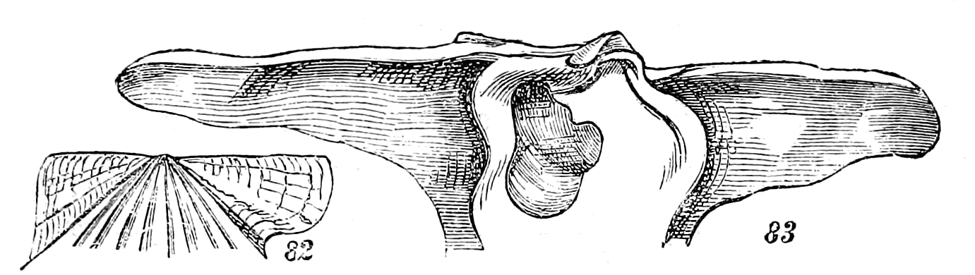 Figs. 82-83.