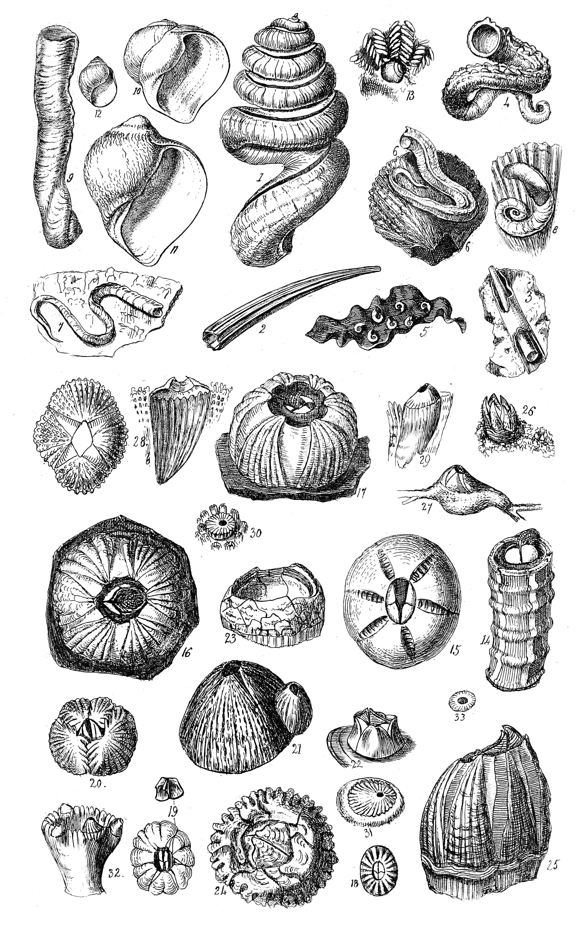 Fig. 1 to 33.
