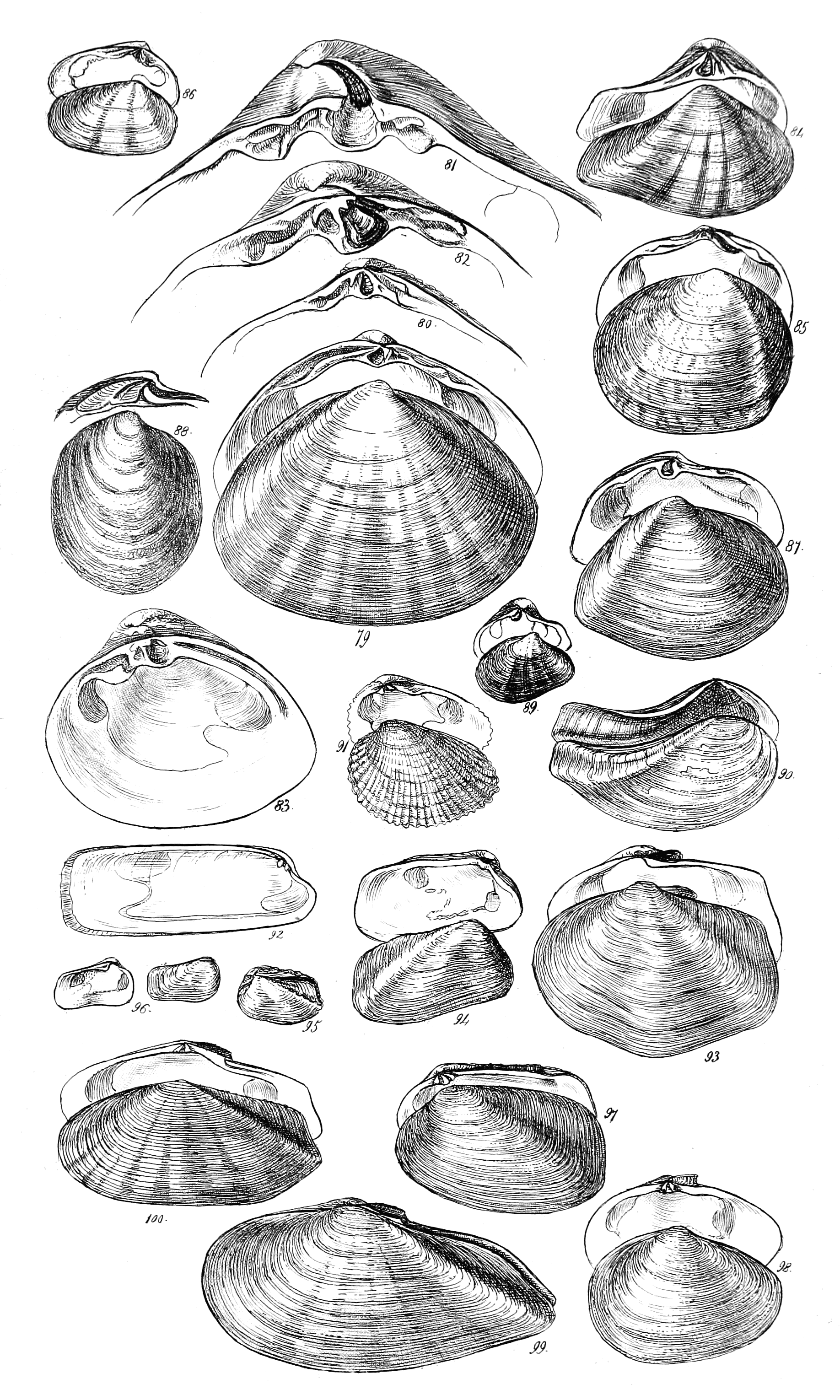 Fig. 79 to 100.