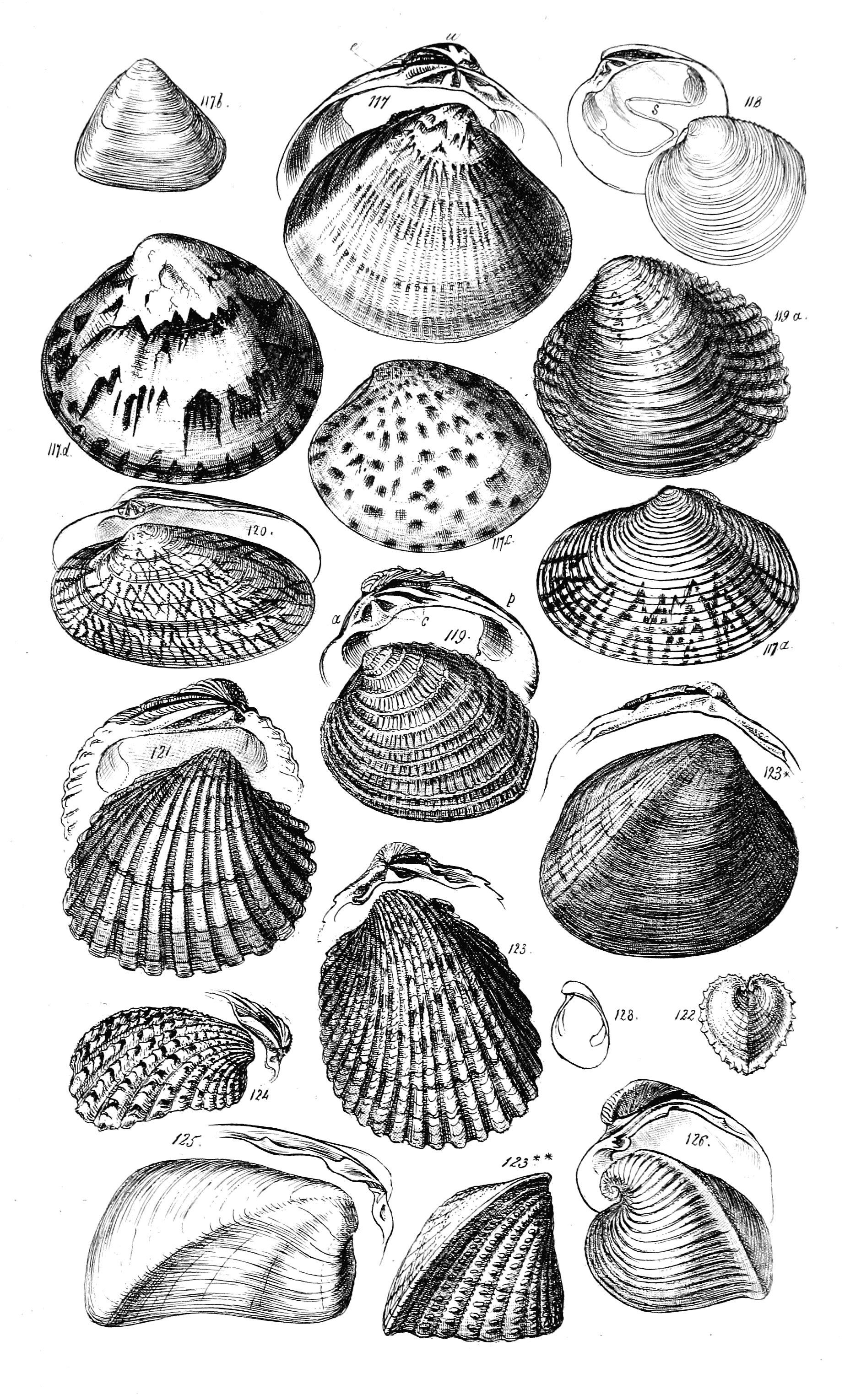 Fig. 117 to 126 and 128.