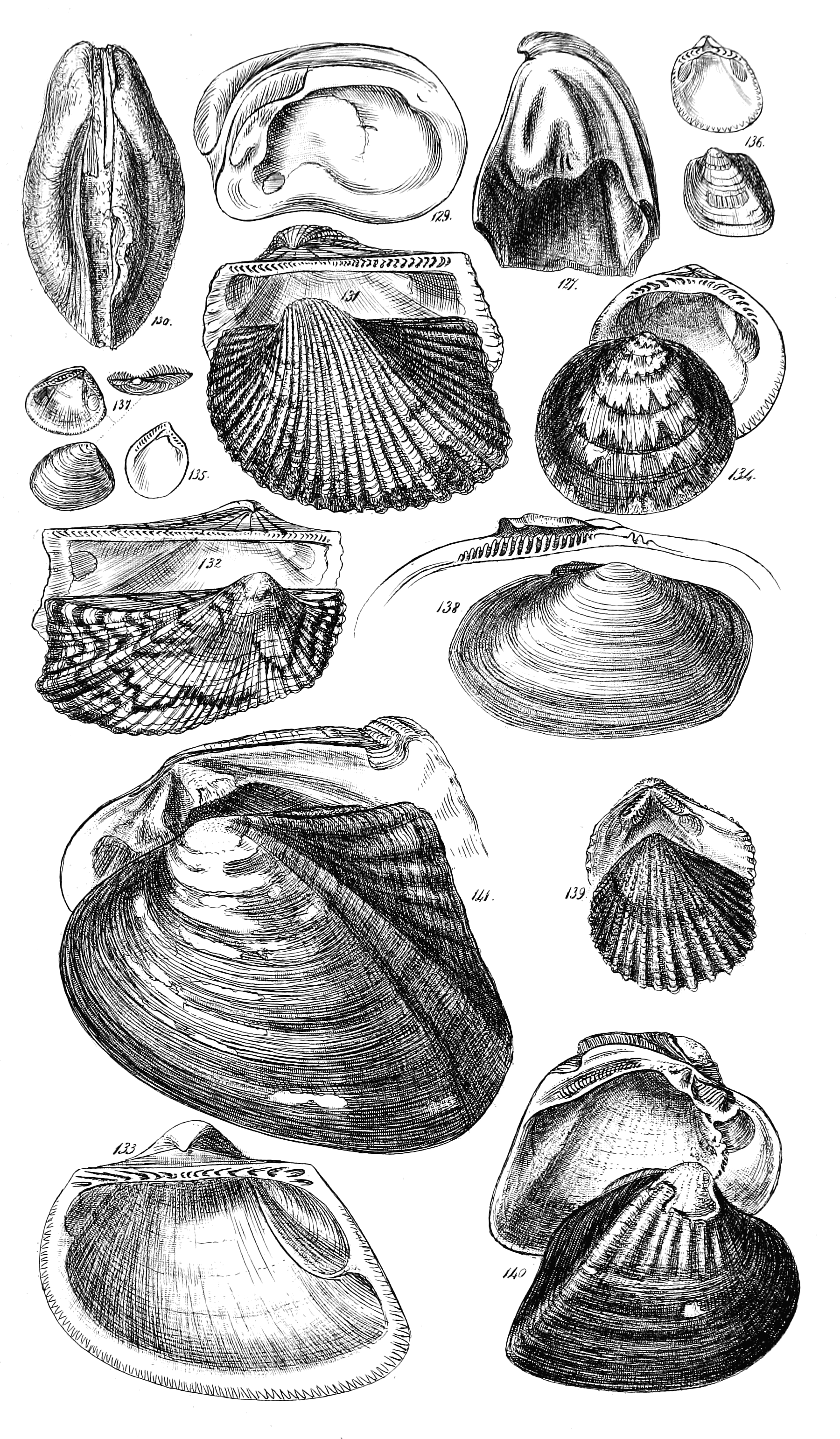 Fig. 127 and 129 to 141.