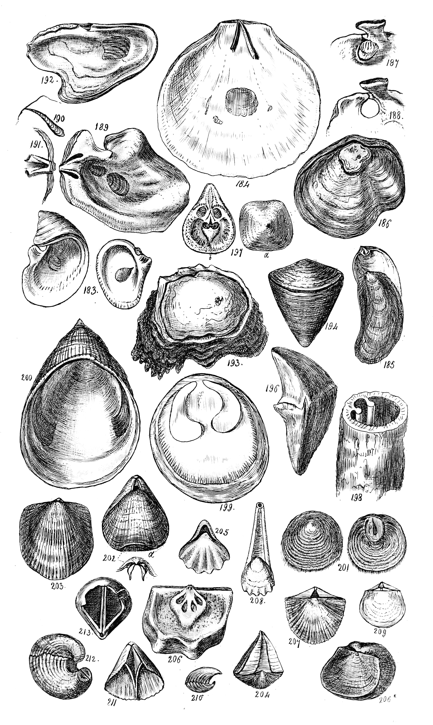 Fig. 183 to 213. 195. cancelled.