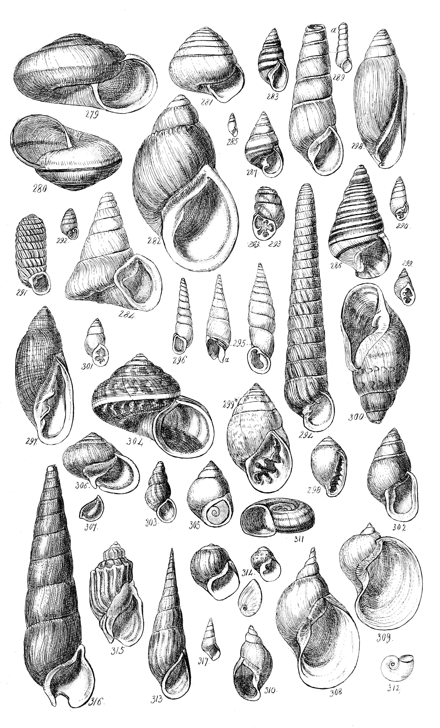 Fig. 279 to 317.