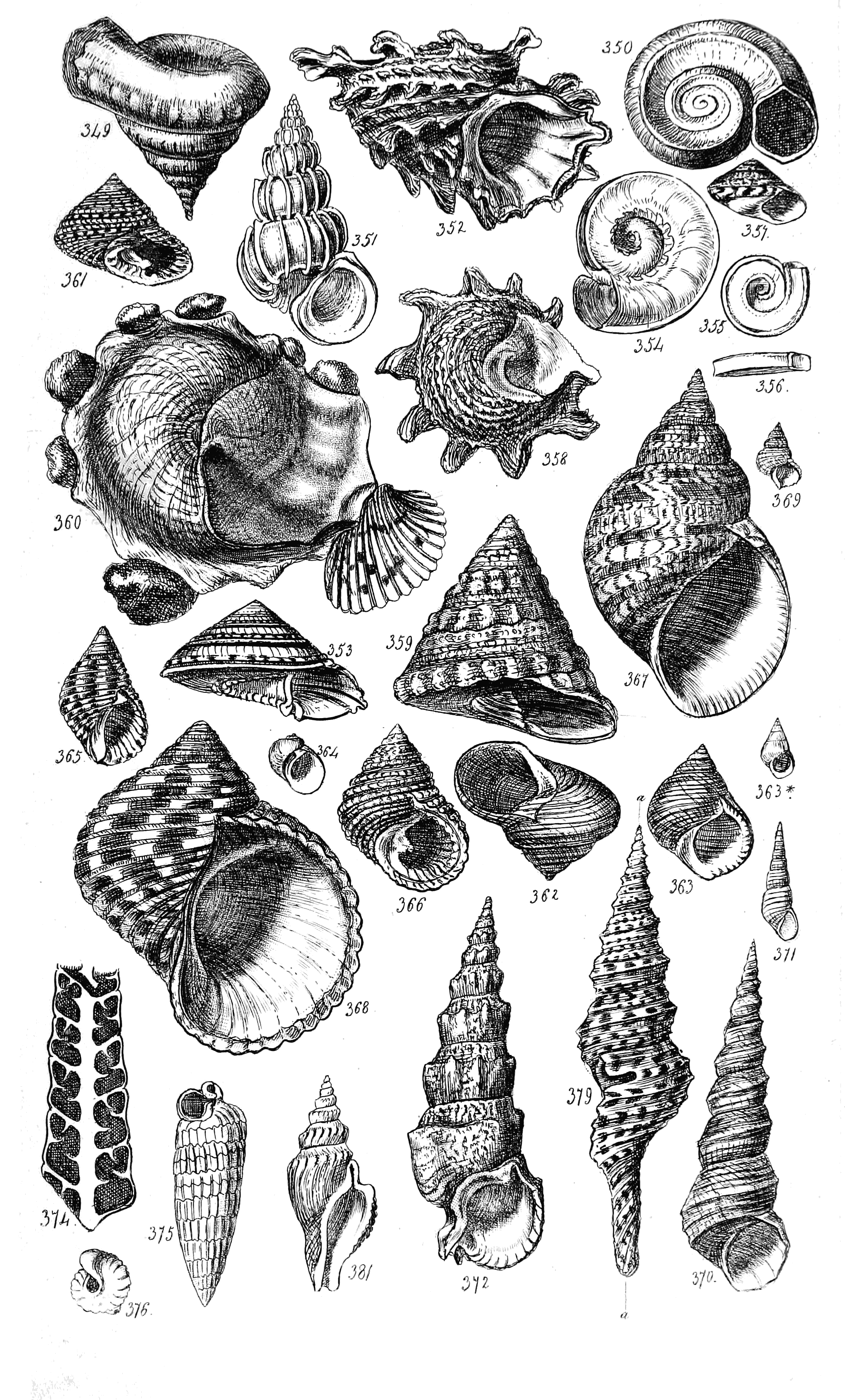 Fig. 349 to 381. 377. 378. in the next.