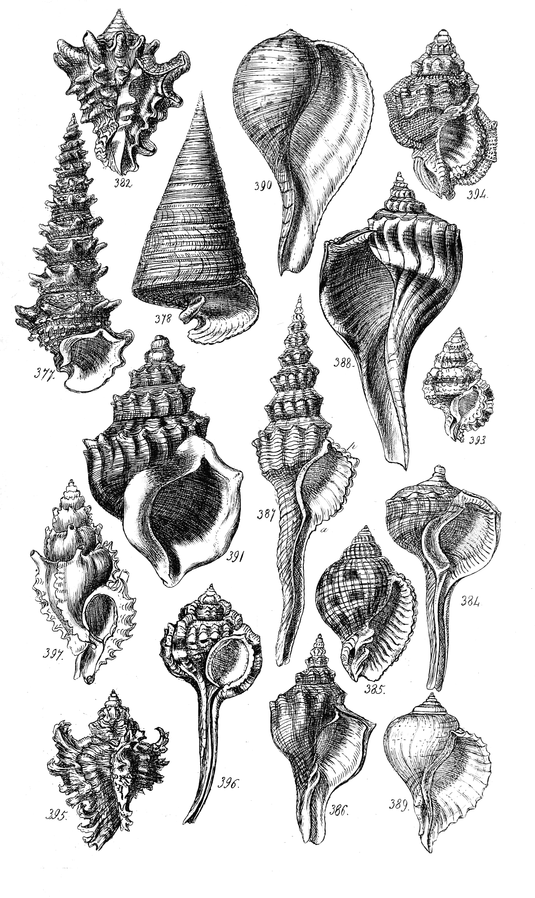 Fig. 377. 378. 382 to 397. 383 in the next.