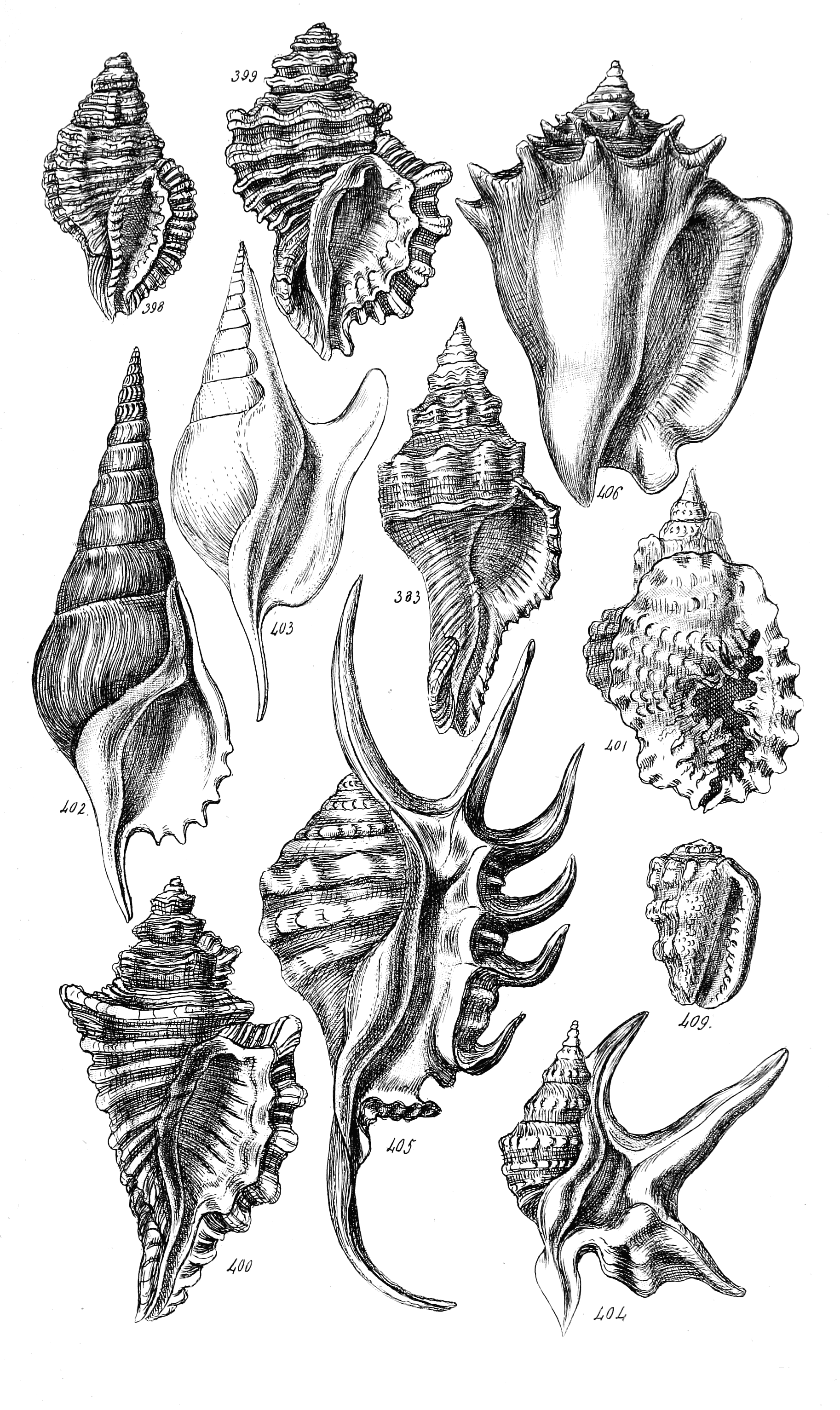 Fig. 383. 398 to 406. 409.